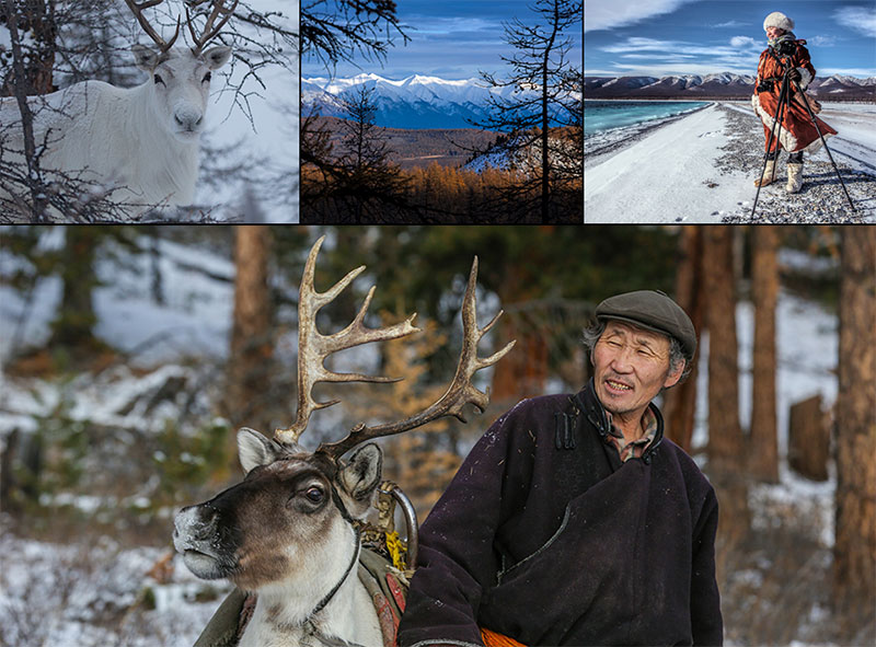 taiga mountains november photos mongolia 